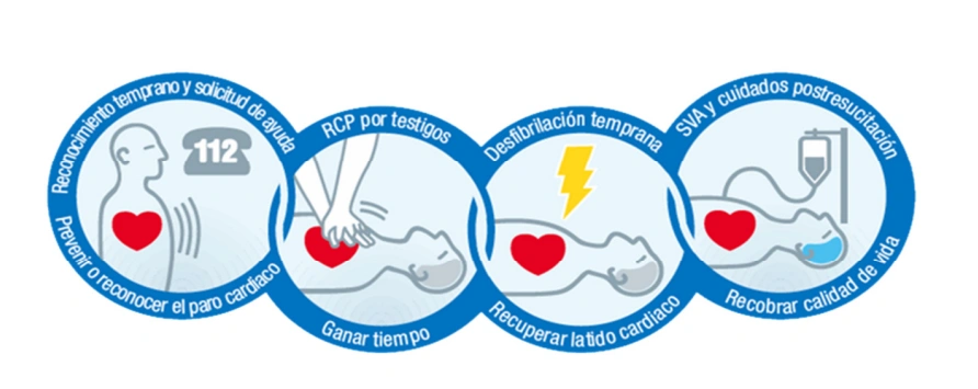 Imagen de la cadena de supervivencia según el ERC de 2010